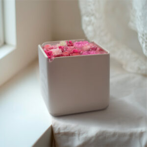 サニーサイド<br>カフェ・パリ|お菓子缶(チェリー)